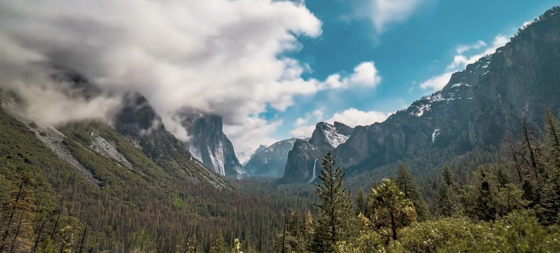 Gear Up for the Wild